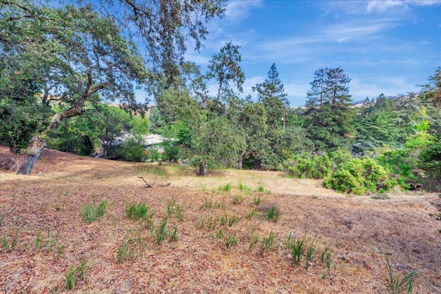 Listing photo 2 for 0 Hamlin Rd, Lafayette CA 94549