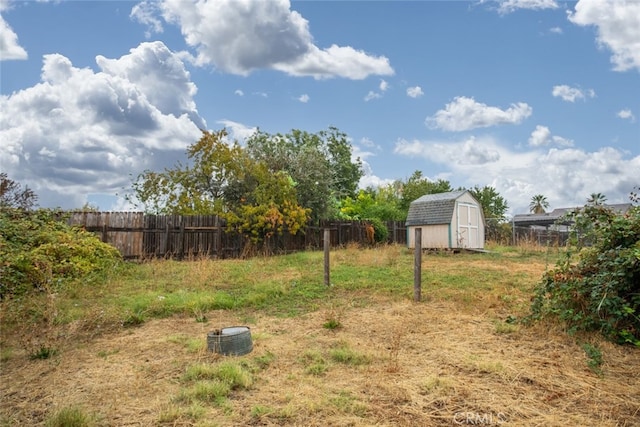 view of yard with a shed