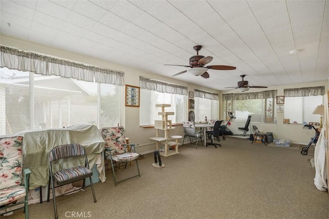 interior space featuring carpet, ceiling fan, and a healthy amount of sunlight