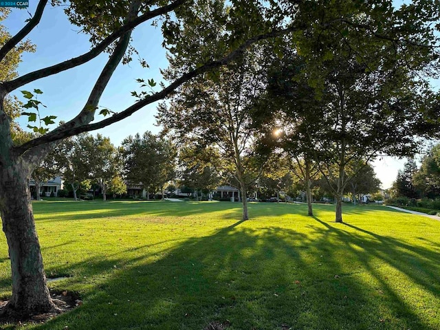 view of home's community featuring a lawn