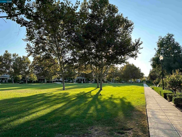 surrounding community featuring a lawn