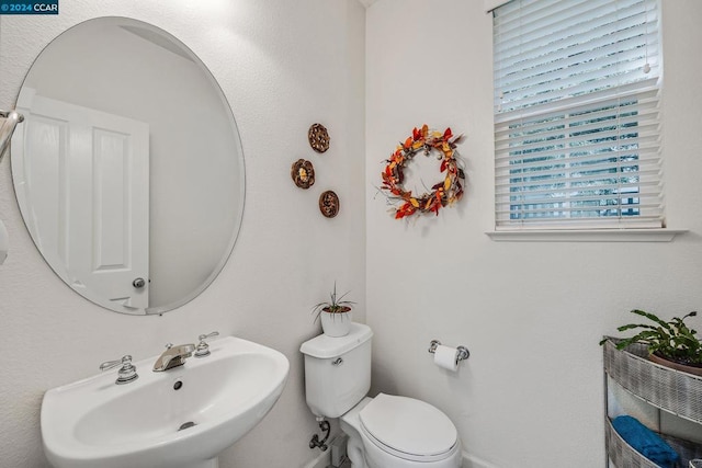 bathroom featuring toilet and sink