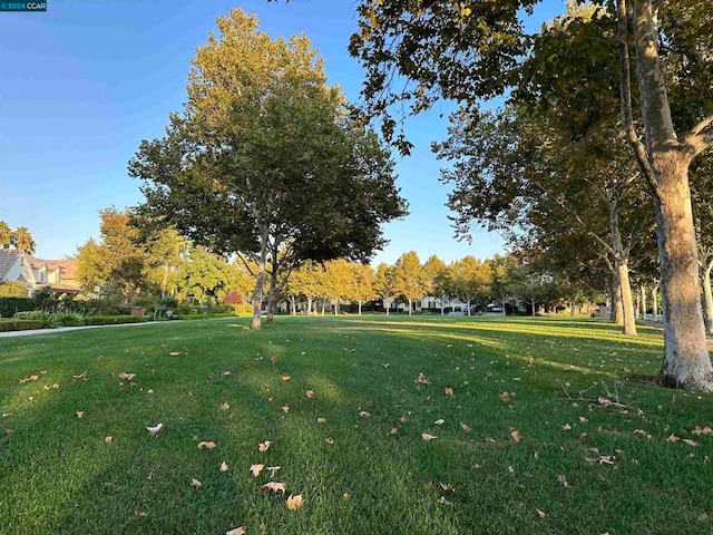 view of property's community with a yard