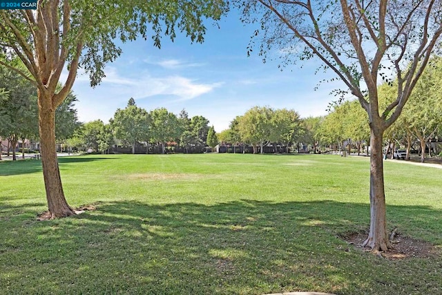 view of community featuring a yard