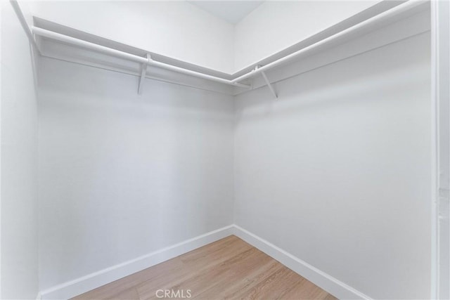 spacious closet featuring hardwood / wood-style flooring