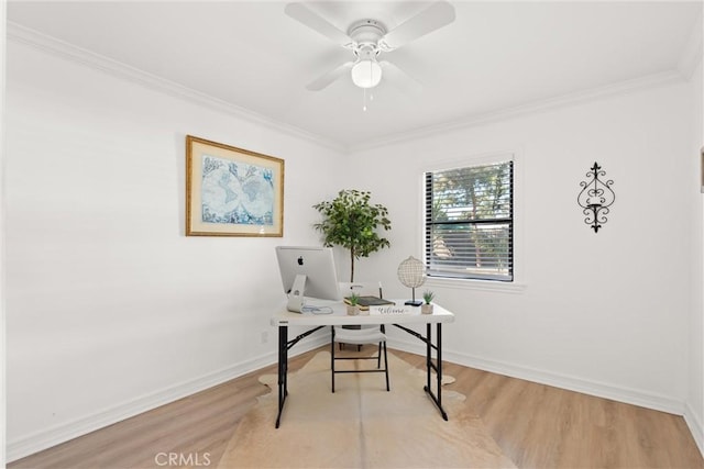 office area with light hardwood / wood-style floors, ceiling fan, and crown molding