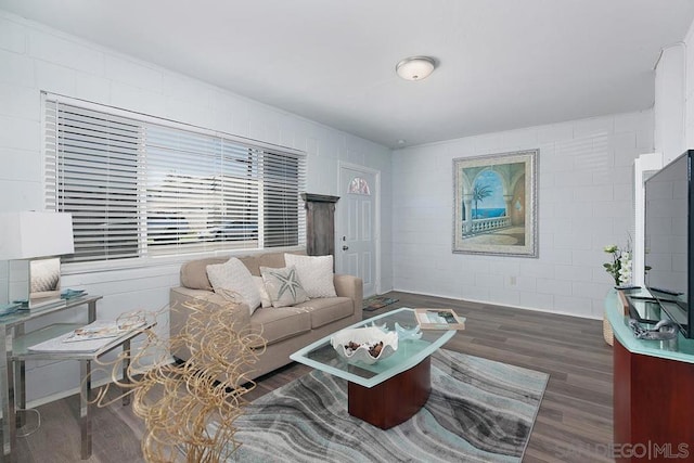 living room with dark hardwood / wood-style floors