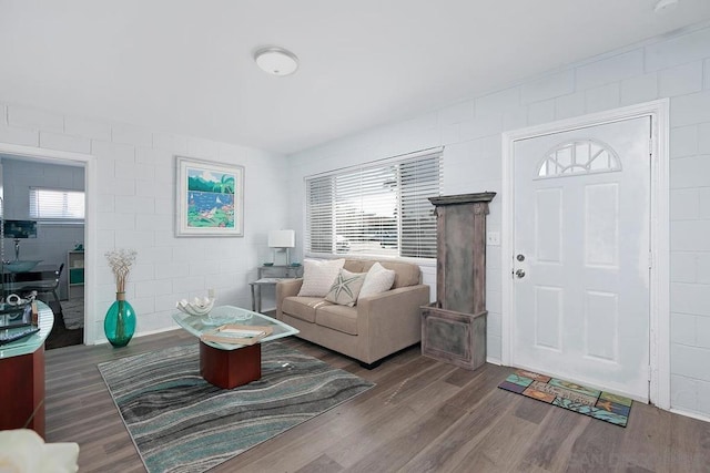 living room featuring hardwood / wood-style floors