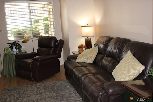 living room featuring dark hardwood / wood-style floors