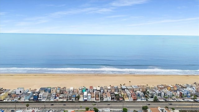 water view featuring a beach view