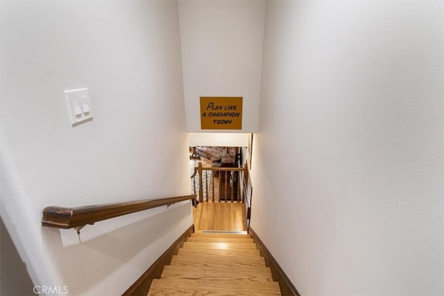 stairway featuring wood-type flooring