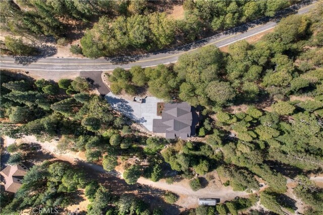 1285 N State Highway 173, Lake Arrowhead, CA 92352 - aerial view of property's location