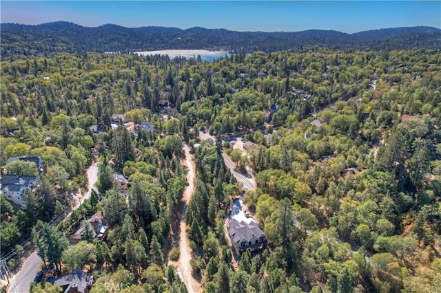 bird's eye view with a mountain view