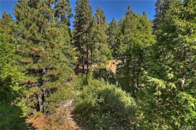 1285 N State Highway 173, Lake Arrowhead, CA 92352 - view of woods