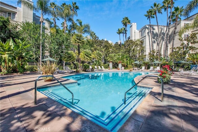 view of pool featuring a patio area