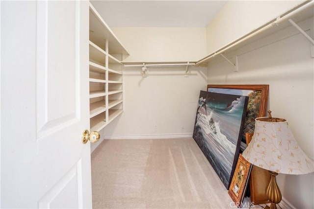 spacious closet with carpet