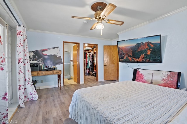 bedroom with a closet, a spacious closet, crown molding, light wood-type flooring, and ceiling fan