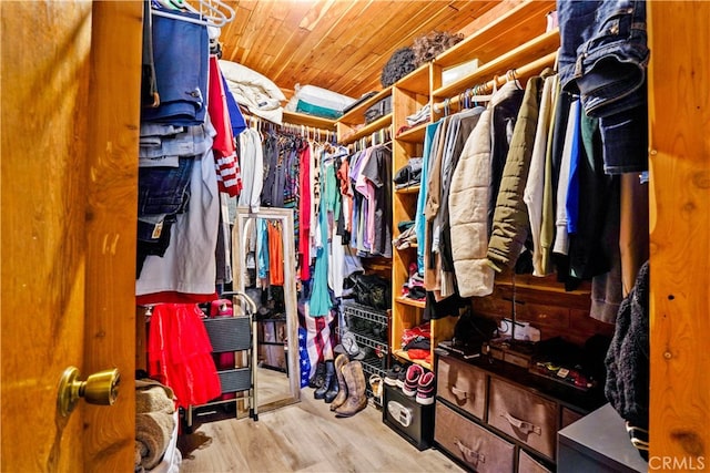 spacious closet with light wood-type flooring