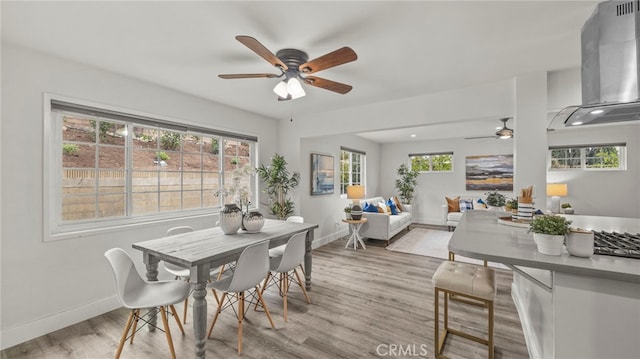 dining space with ceiling fan and light hardwood / wood-style floors