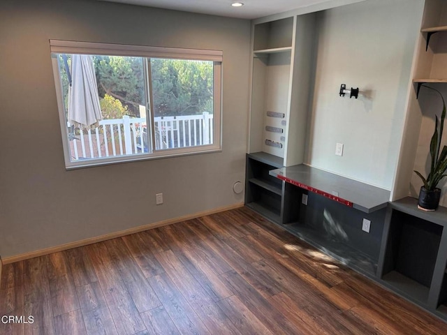 mudroom featuring dark wood-type flooring