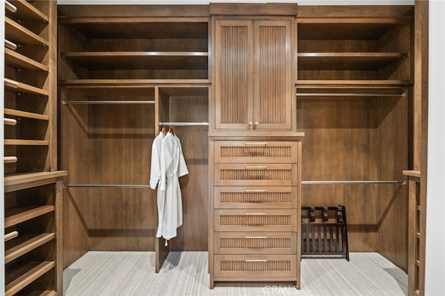 spacious closet with light colored carpet