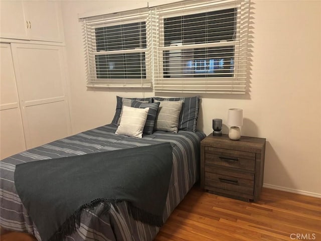 bedroom featuring a closet and wood-type flooring