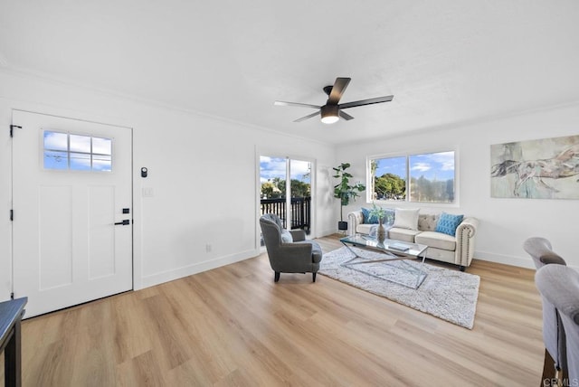 living room featuring ceiling fan, light wood-type flooring, and crown molding