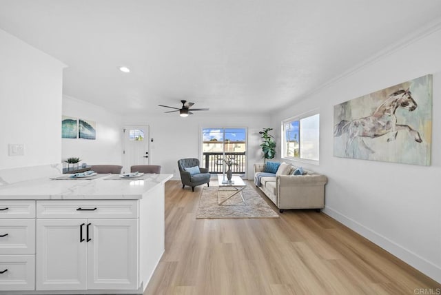 living room featuring ceiling fan, ornamental molding, and light hardwood / wood-style flooring