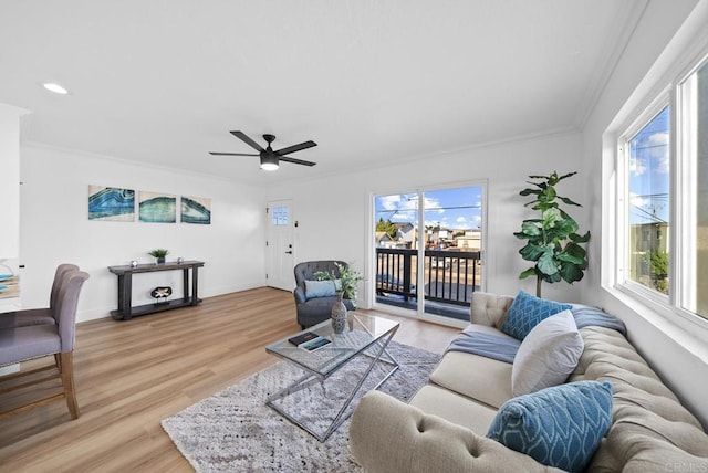 living room featuring ceiling fan, light hardwood / wood-style flooring, and crown molding