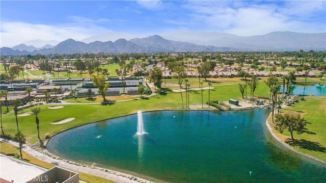 41661 Resorter Blvd, Palm Desert, CA 92211 - photo 43