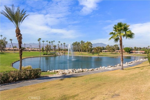 41661 Resorter Blvd, Palm Desert, CA 92211 - photo 30