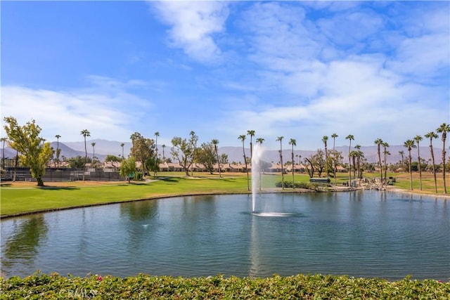 41661 Resorter Blvd, Palm Desert, CA 92211 - photo 29