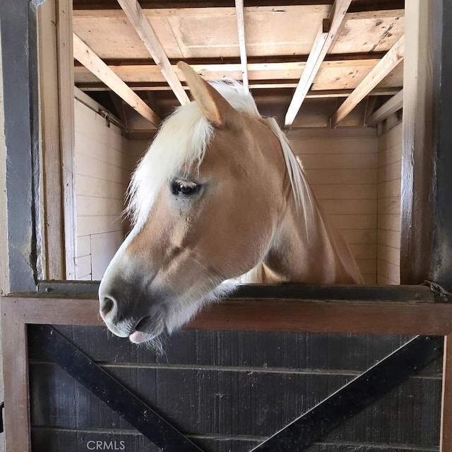 view of stable