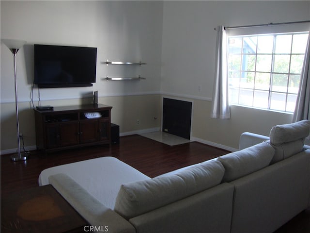 living room featuring dark wood-type flooring