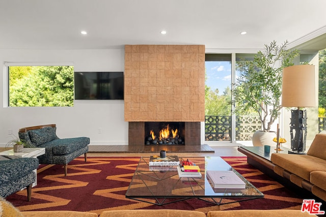 living room featuring a fireplace and wood-type flooring