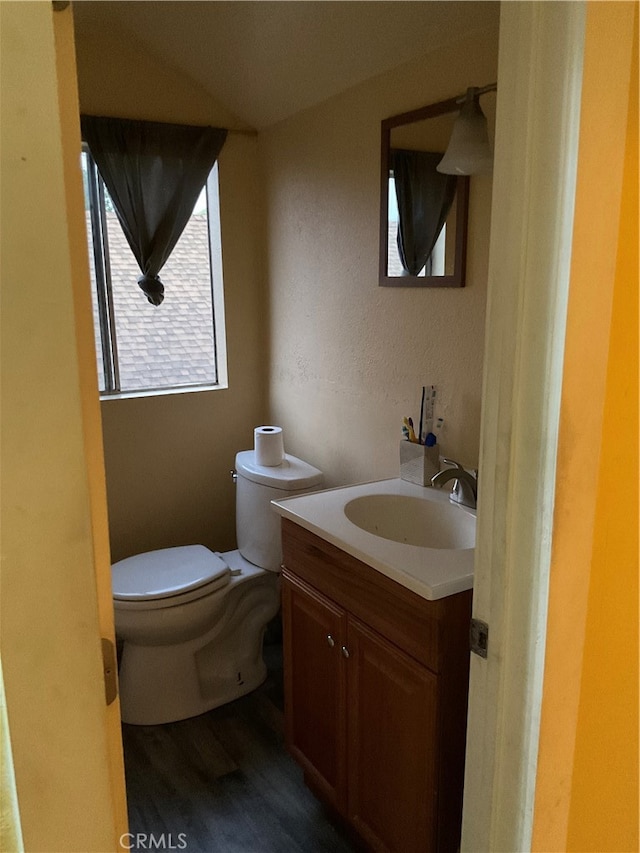 bathroom with vanity, wood-type flooring, and toilet