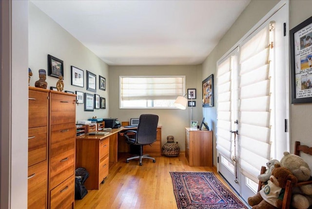 office with light hardwood / wood-style flooring