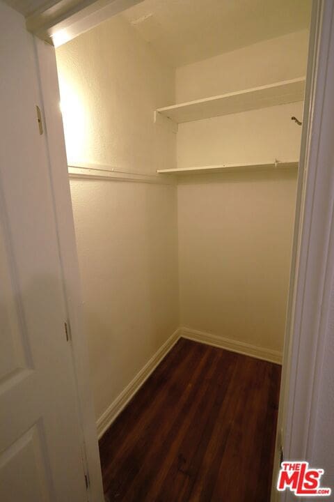 walk in closet with dark hardwood / wood-style flooring