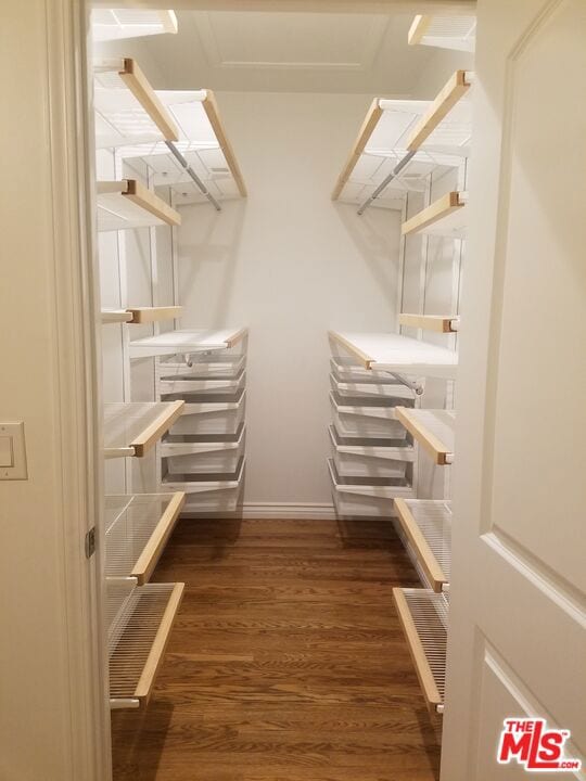 spacious closet with dark hardwood / wood-style flooring