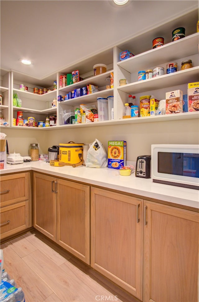 view of pantry