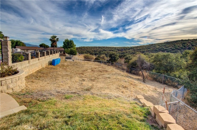 view of yard