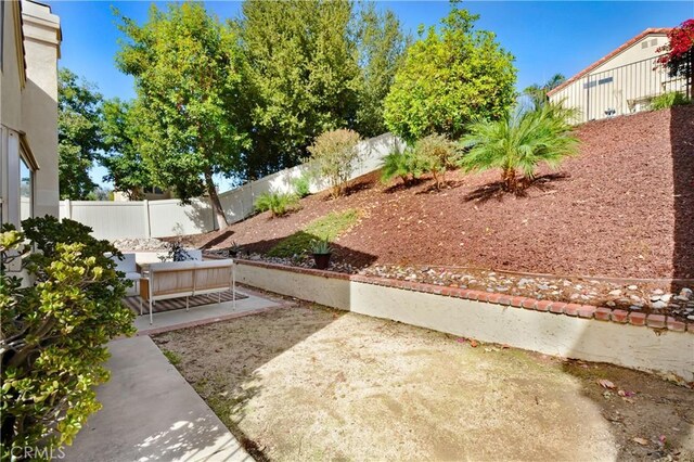 view of yard featuring a patio area