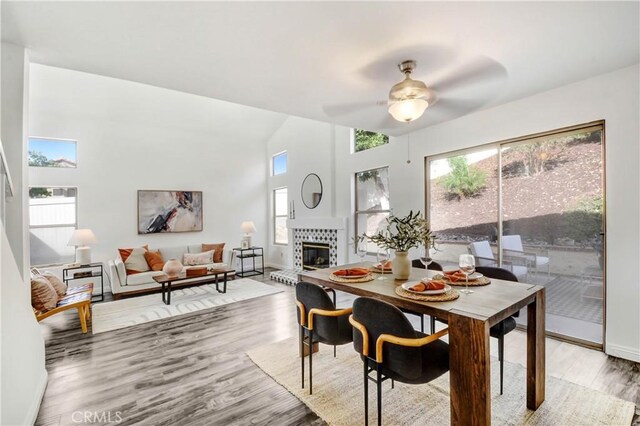 dining area featuring hardwood / wood-style flooring, ceiling fan, and a tiled fireplace