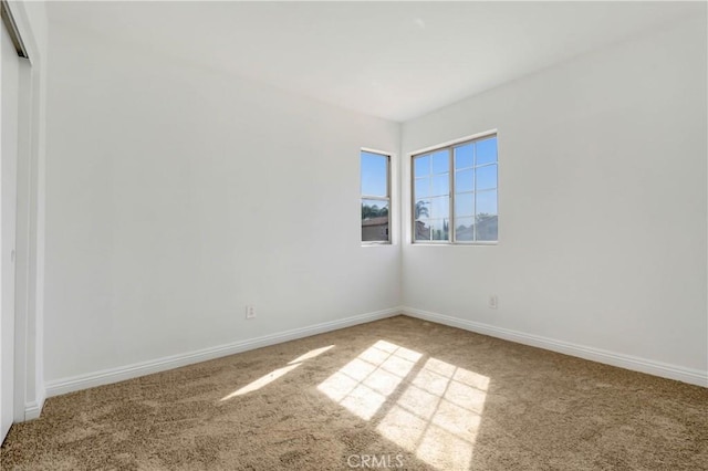 spare room featuring carpet