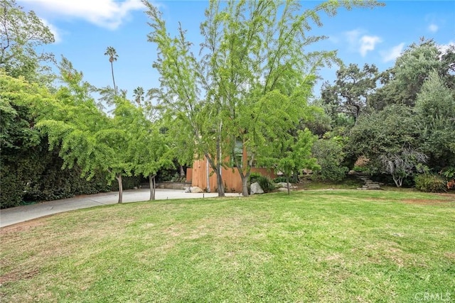 view of yard with concrete driveway