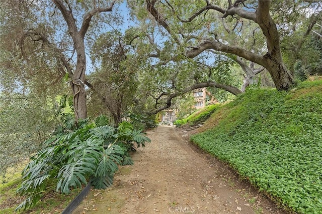 view of property's community