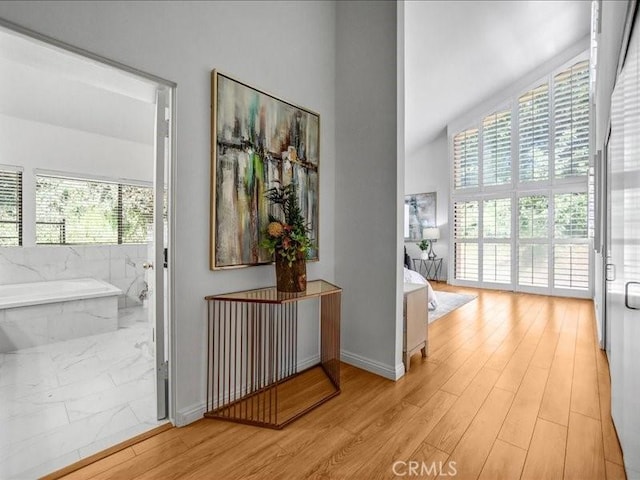 hall with wood finished floors, plenty of natural light, and baseboards