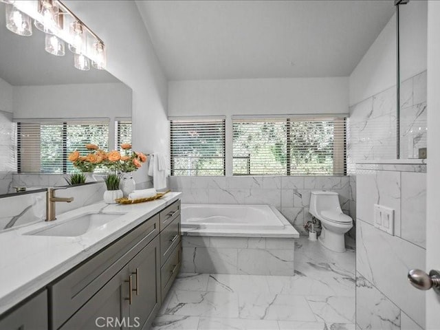 bathroom featuring a healthy amount of sunlight, toilet, a bath, and vanity