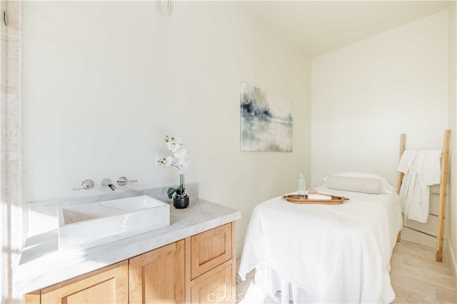 bathroom with vanity and wood-type flooring