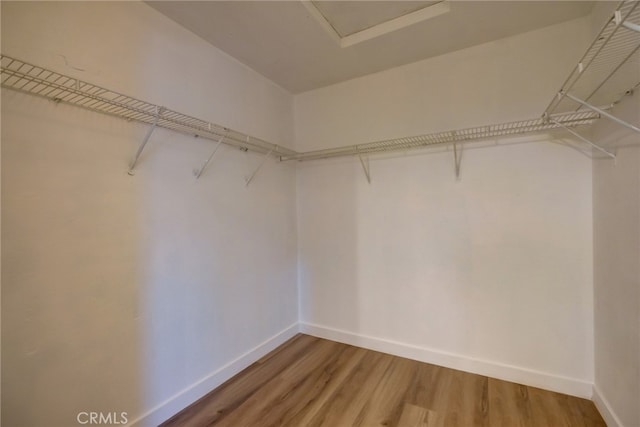 spacious closet featuring wood-type flooring